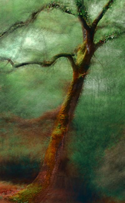 jr_korpa_eogaYU2HoC0_unsplash_jpg_lqdMtsrI jr_korpa_eogaYU2HoC0_unsplash_jpg_lqdMtsrI