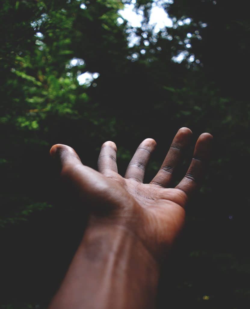 rui_silvestre_ul_ZsFLIjvw_unsplash_jpg_M_b2IWcD