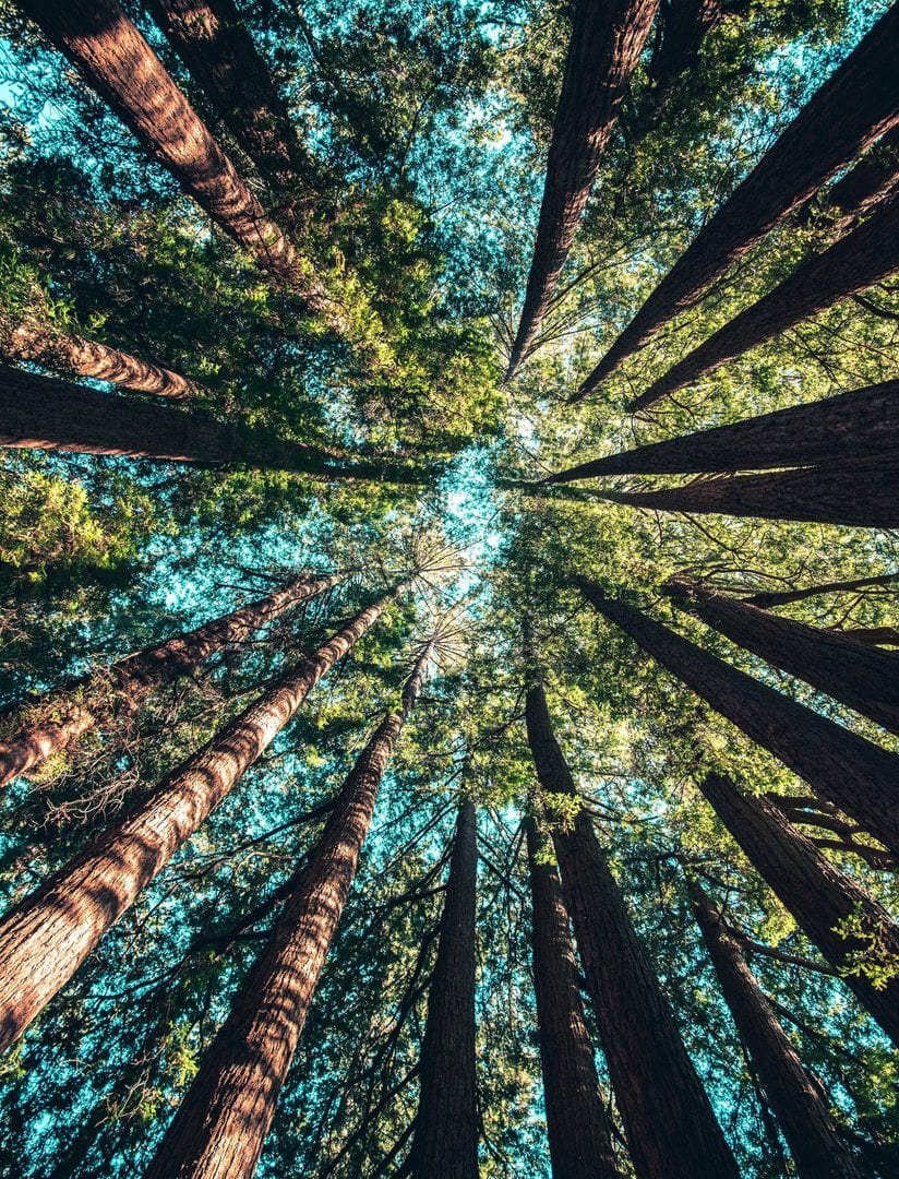 casey-horner-4rDCa5hBlCs-unsplash compassion and empathy toward all creatures