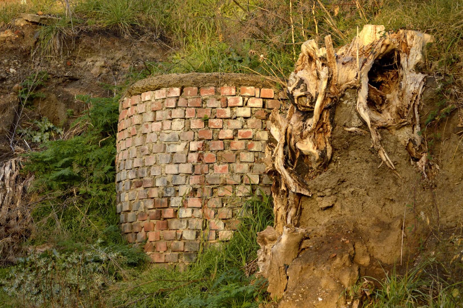 the woman at the well