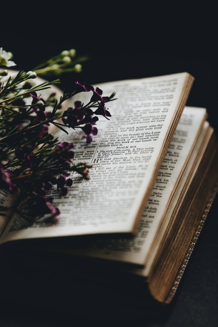 nathan-dumlao-p3y6Zw6ydWQ-unsplash
