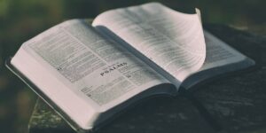 Is the Bible Fact or Fiction?